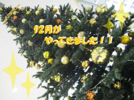 12月Ｓｔａｒｔ(^O^)☆