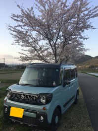定休日のお知らせと近くのお花見スポット♡