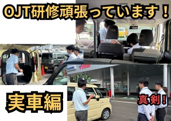 OJT頑張ってます！