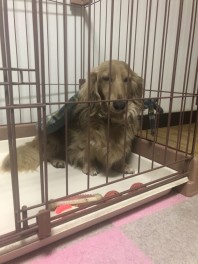 最近寒いですねぇ…