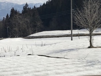 雪景色