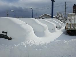 一夜にして大雪です！