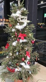 もうすぐ、クリスマス！