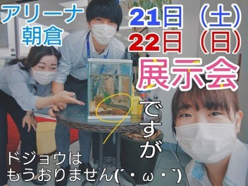 ドジョウのいない展示会、皆様と一緒に盛り上げたい。