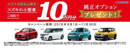 小型車限定！純正オプションプレゼント！