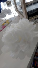 お試し加湿器！
