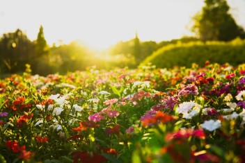 花ファンタジアに行ってきました♪