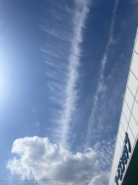 写真を紹介！
