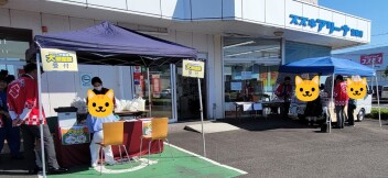 アリーナ宮崎南店に来ないよ～(/・ω・)/