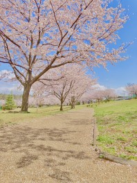 いつも整備でご利用ありがとうございます！