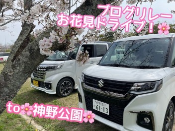 【ブログリレー】スライドドア車でファミリーお花見ドライブ【嘉瀬・鍋島】