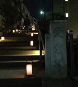 桜の名所と春の愛宕坂ライトアップ