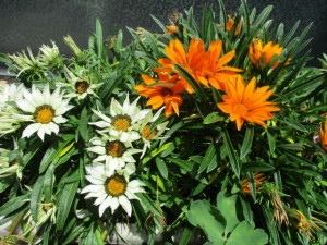 お花1