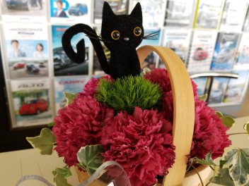にゃんこ