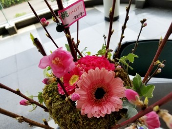 桃の花