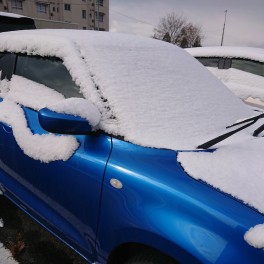 雪だ！頭上には白鳥だ！！