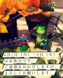 ◆定休日のお知らせ◆