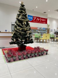 クリスマスが近づいてまいりました、、！