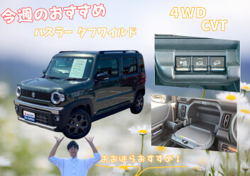 今週のおすすめ！