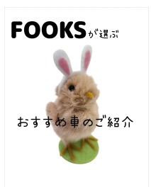 FOOKSが選ぶおすすめ中古車