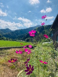 小倉南区オススメランチ～( *´艸｀)