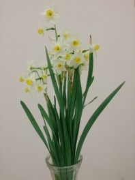 県花♫