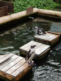 日常のちょっとした疑問