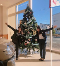 大きなクリスマスツリーが(*''ω''*)
