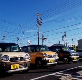 初売り★オールスターズ　開催中