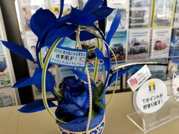 アバランチェロイヤルブルー