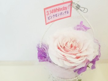 ピンクモンディアル