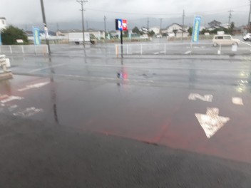 連日の雨