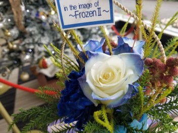 FrozenⅡ