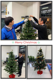 【Merry Christmas】巨大ツリー登場しました！