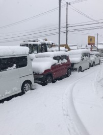 雪が積もりました。