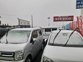 雪が