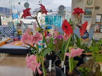 きれいに