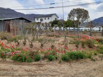 ありがとうございました！！