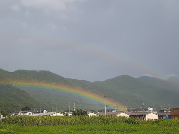 rainbow♪