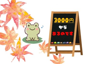 サブスク料金やスマホ代の感覚でいけちゃいます(*'ω'*)