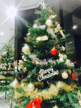 12月に入りました！