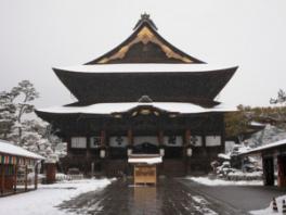 善光寺と鳩！