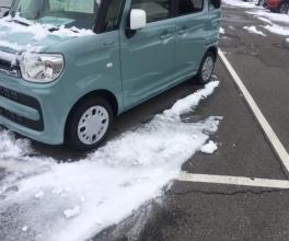また降ってます！