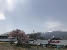 決算は本当にありがとうございました。