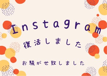 Instagram復活しました！