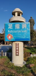 遠出しました。