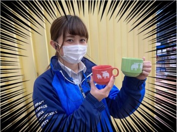 またまたやってきました！