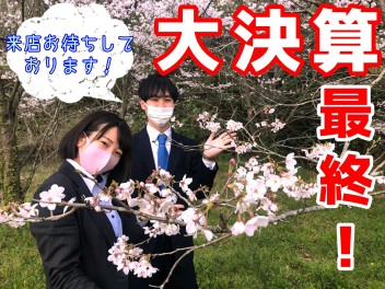 大決算最終フェア！桜満開！