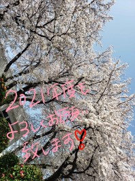 ★今年度もよろしくお願いいたします★
