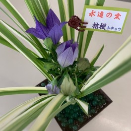 テーブルフラワー